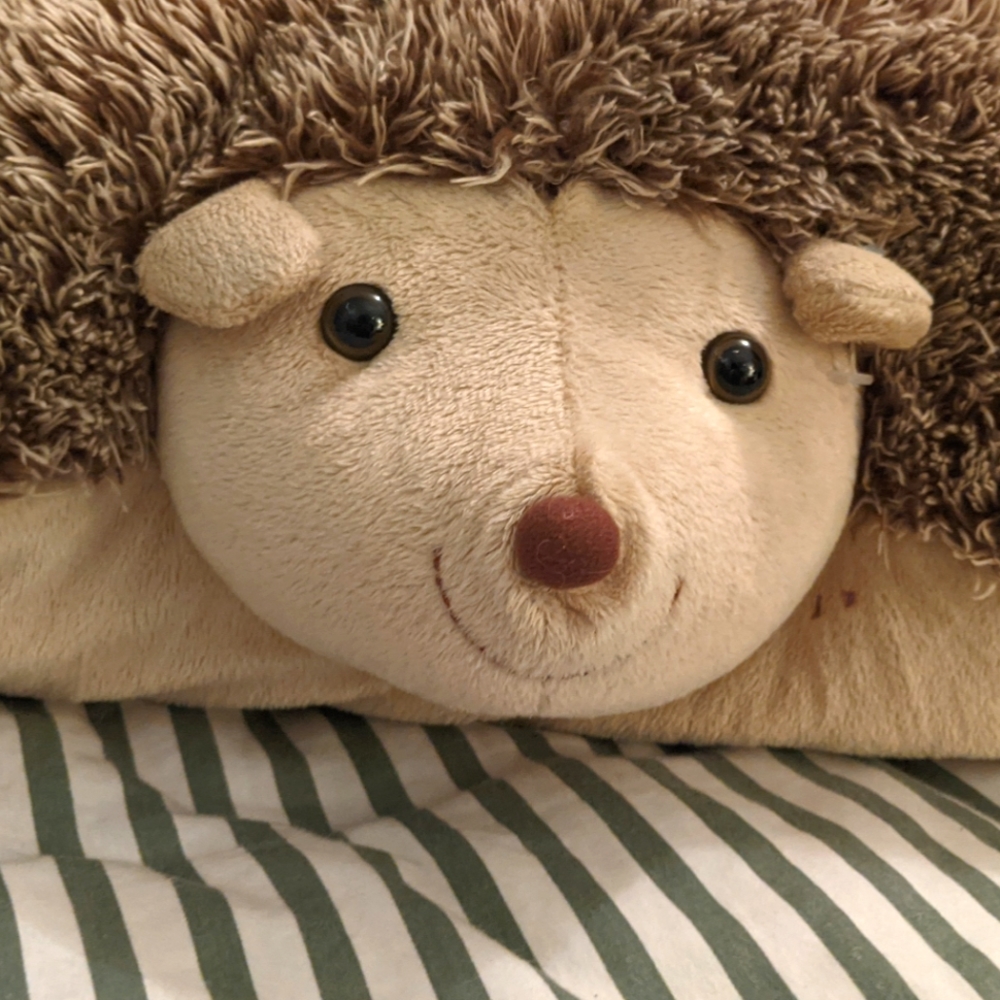 NWOT Pillow Pet hedgehog 🦔